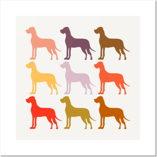 Great Dane Dogs in Rainbow Colors Posters and Art